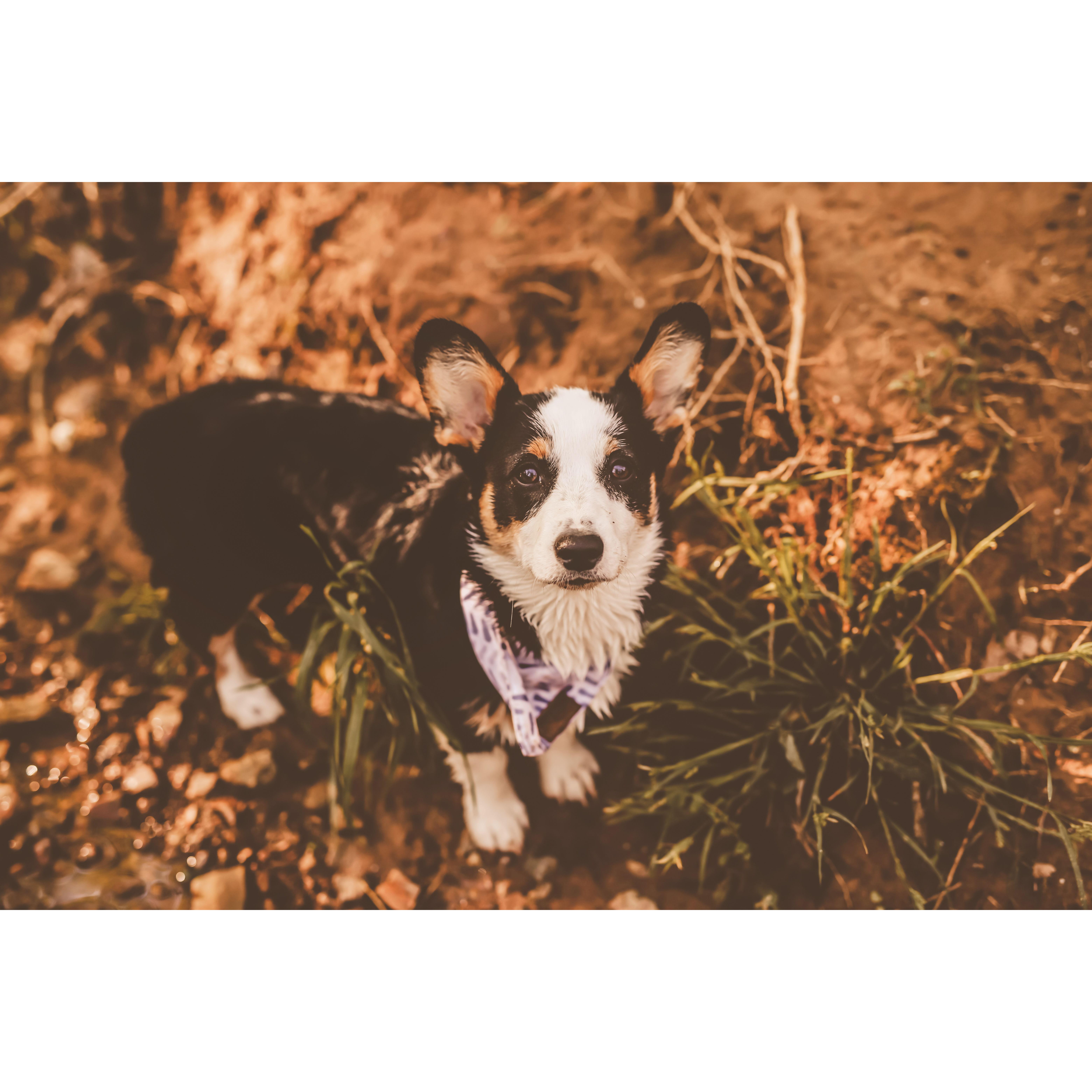 Sundae's first photoshoot!