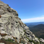 Camels Hump State Forest