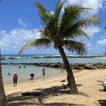 Lydgate Beach