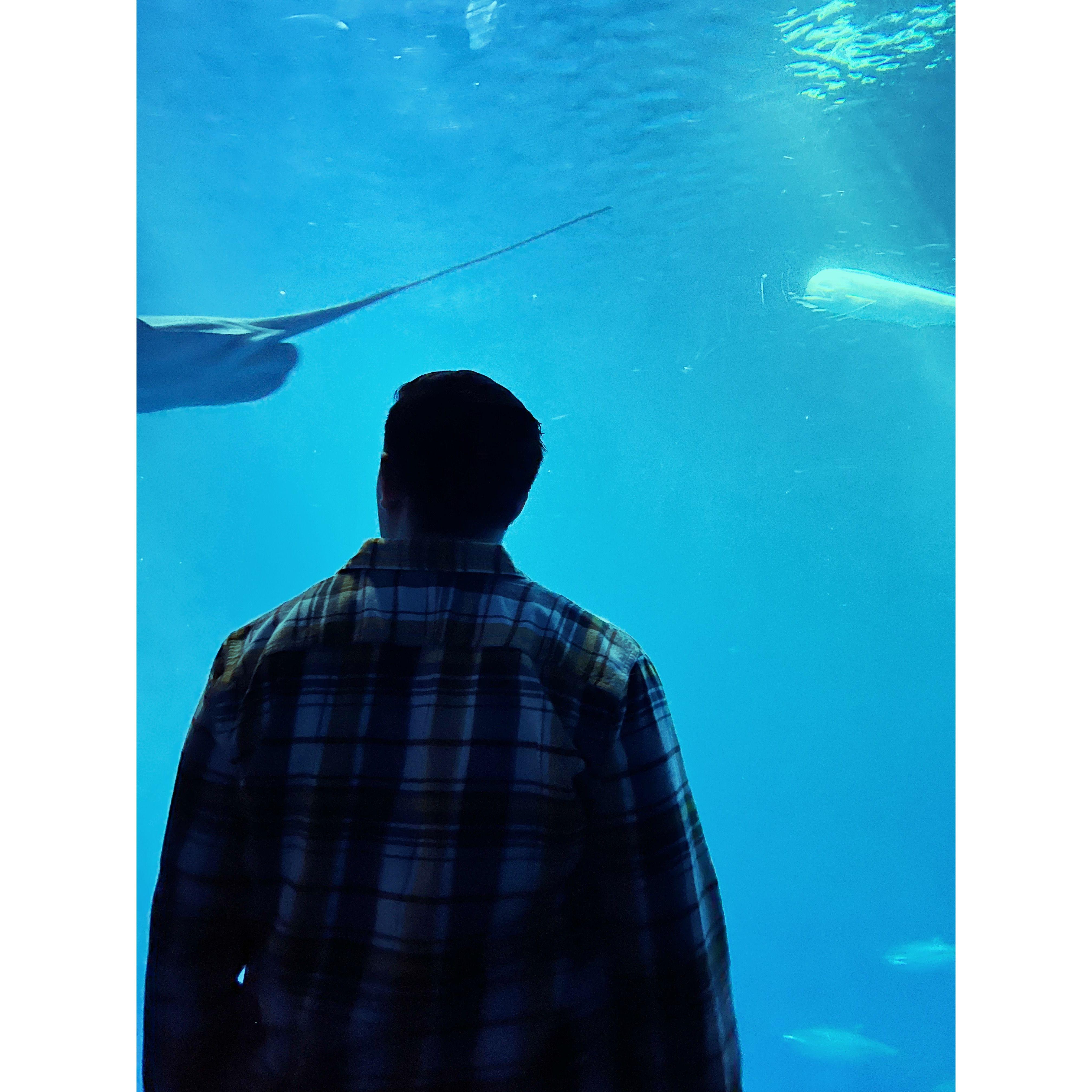 Monterey Bay Aquarium