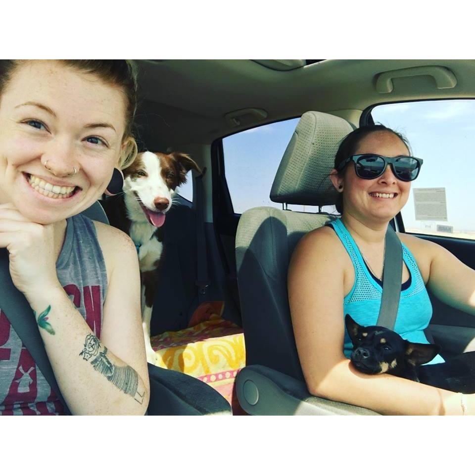 Take the pups who-knows-where in the heart of summer! (2018)