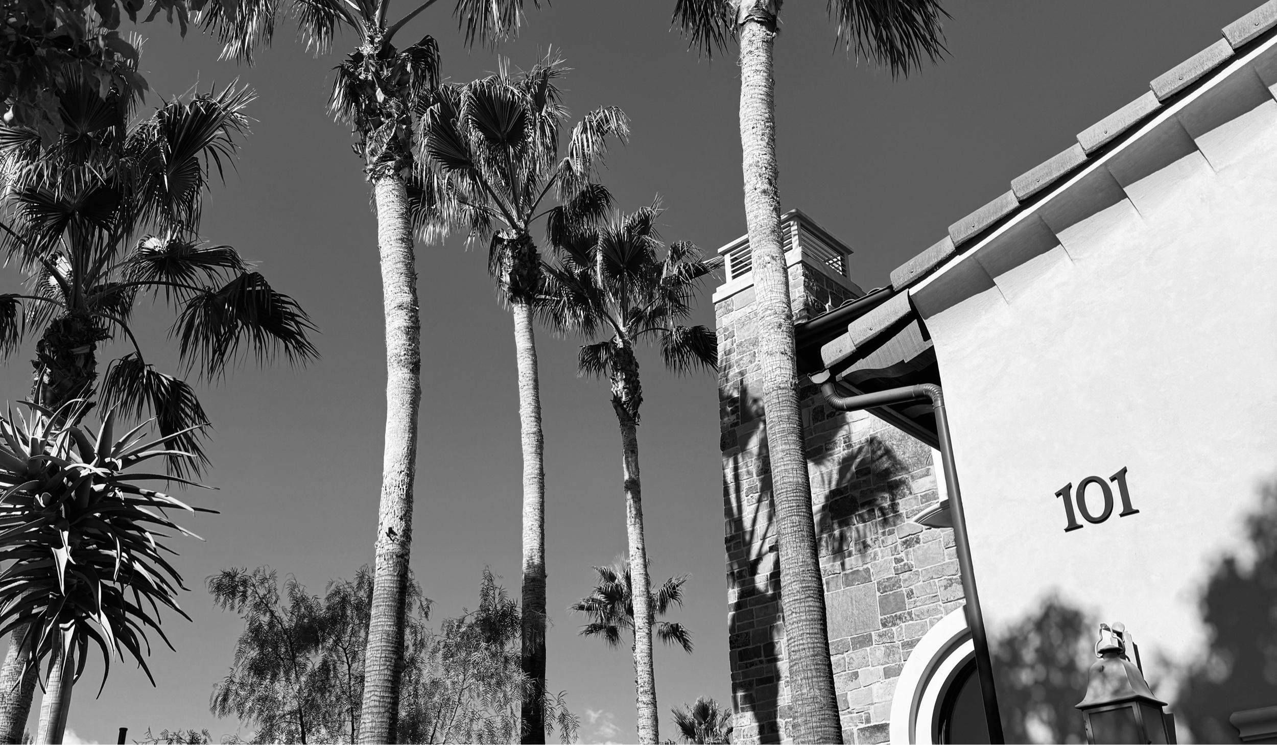The Wedding Website of Anthony Edward Rivera and Kelsi Mai Nguyen
