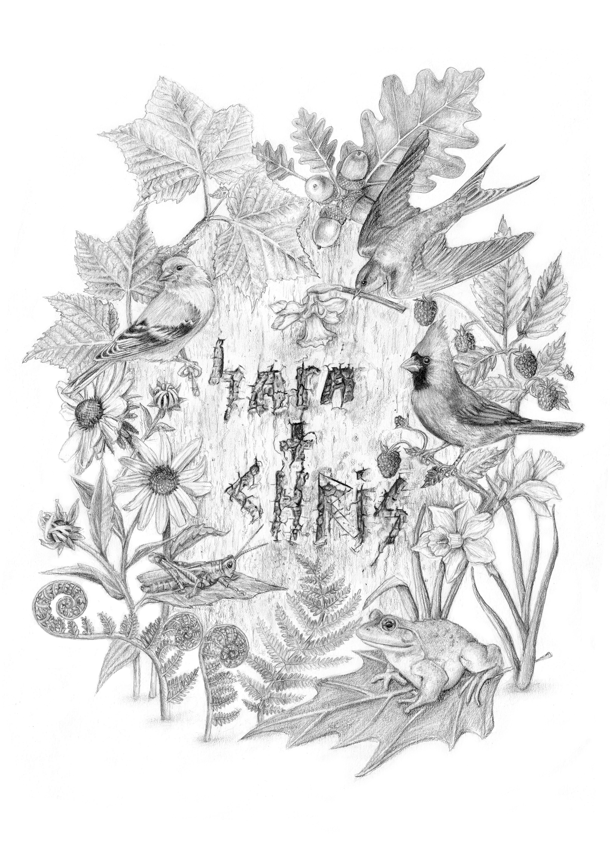 The Wedding Website of Sara Jameson and Chris Aldrich