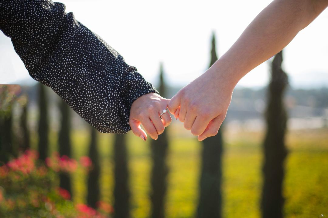 The Wedding Website of Paola Victoria Aguirre and Edgar G. Mendez Jr.