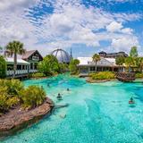 Disney Springs