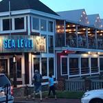 Sea Level Oyster Bar