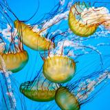 Baltimore aquarium