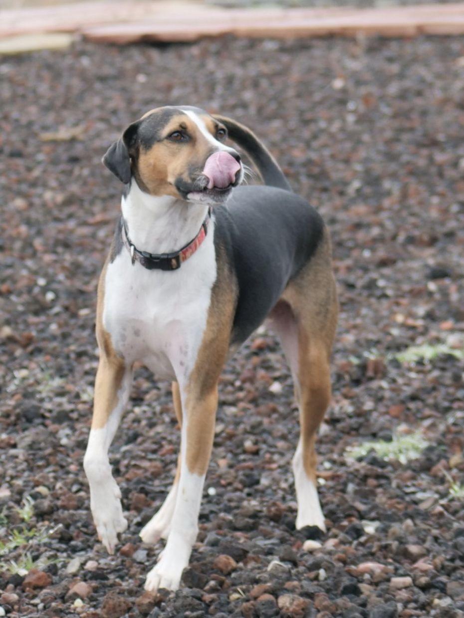 The Wedding Website of Megan Sheehan and Jake Pelletier