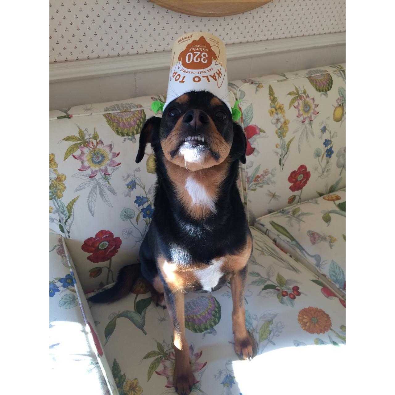 Homemade hat #3 for Frankie.