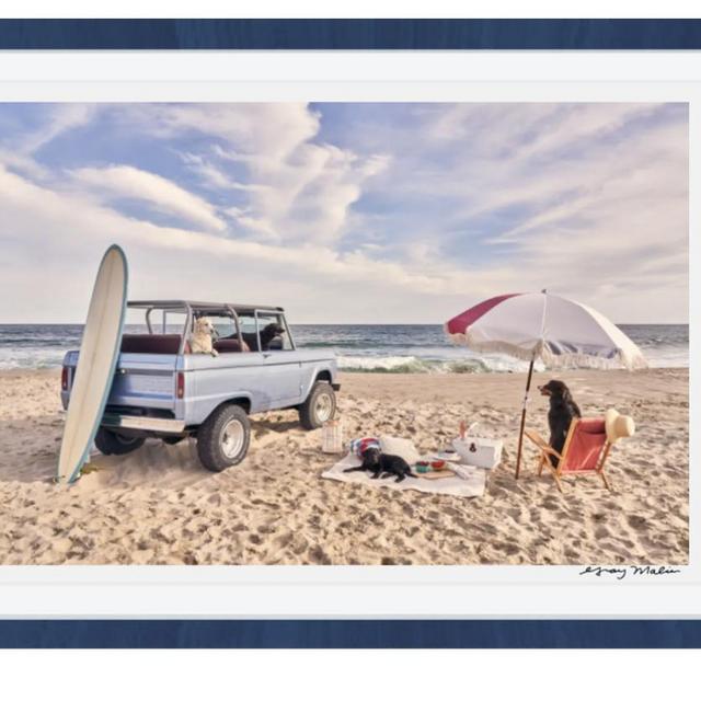 Dogs of Nantucket Gray Malin Photo