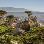 17 Mile Drive