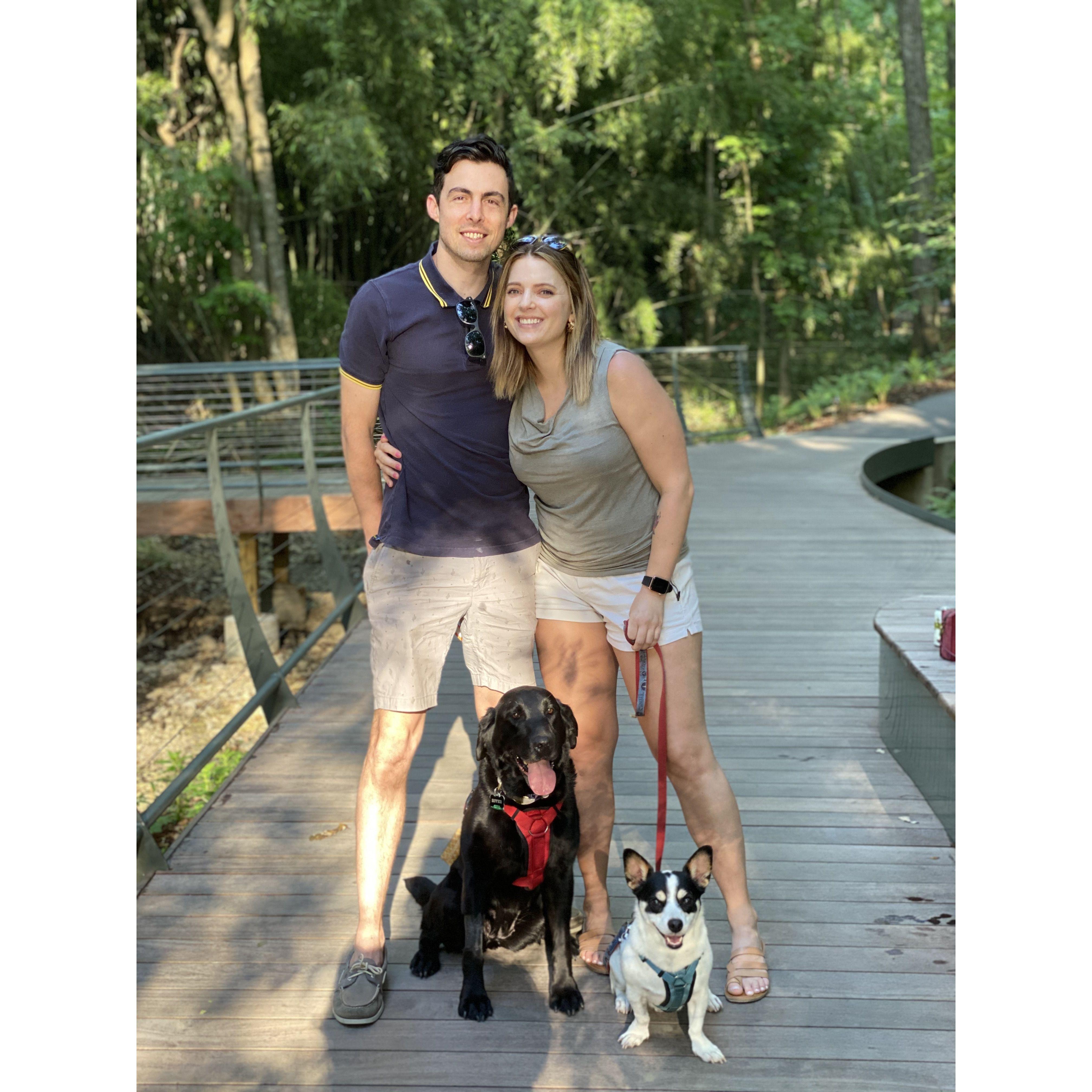First family photo 🐾