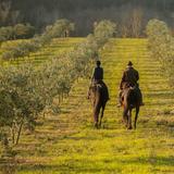 Horseback Riding