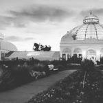 Buffalo and Erie County Botanical Gardens