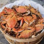 Food Recommendation