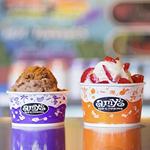 Amy's Ice Creams