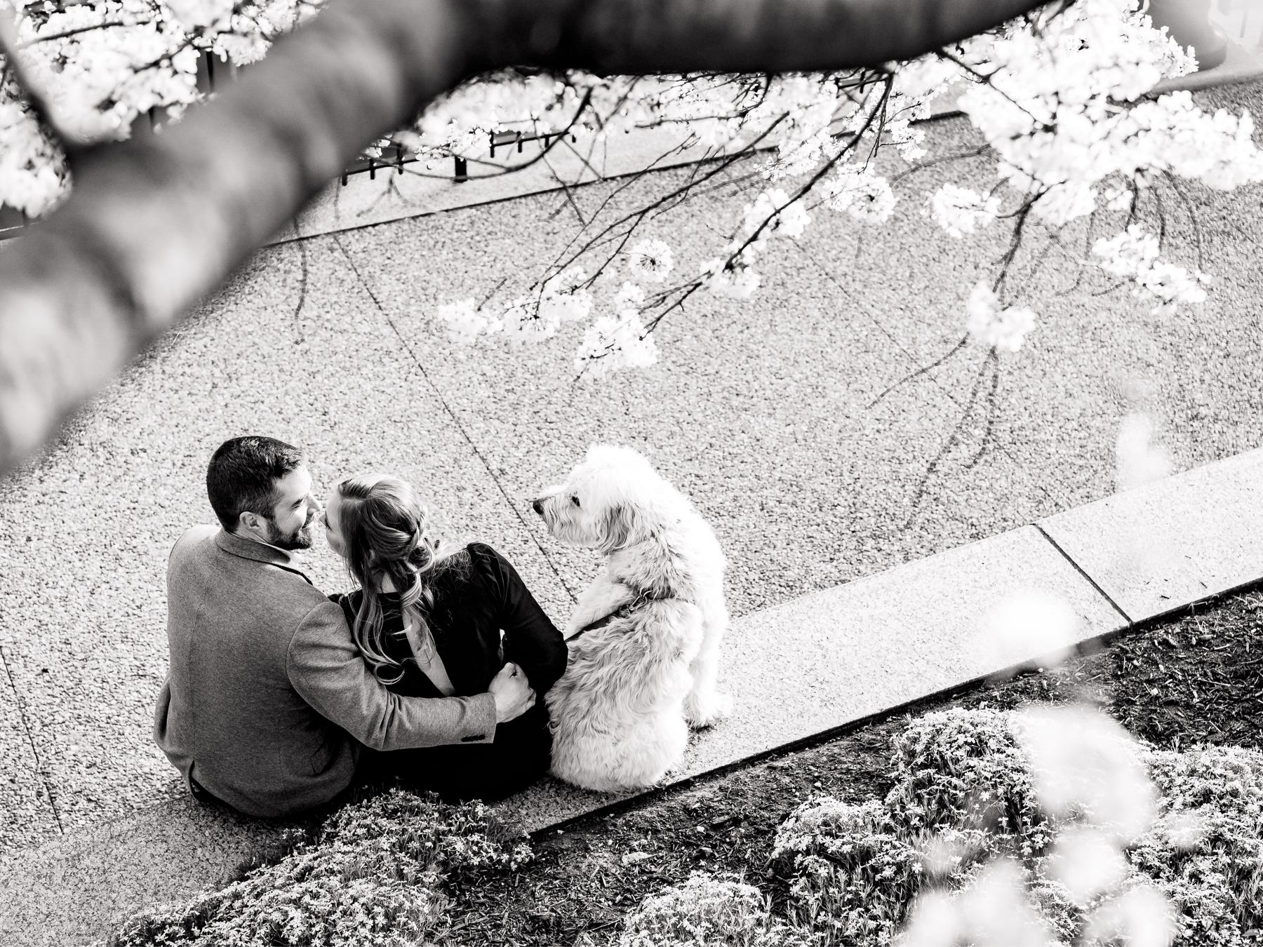 The Wedding Website of Rachel Harrison and Dustin Moneymaker