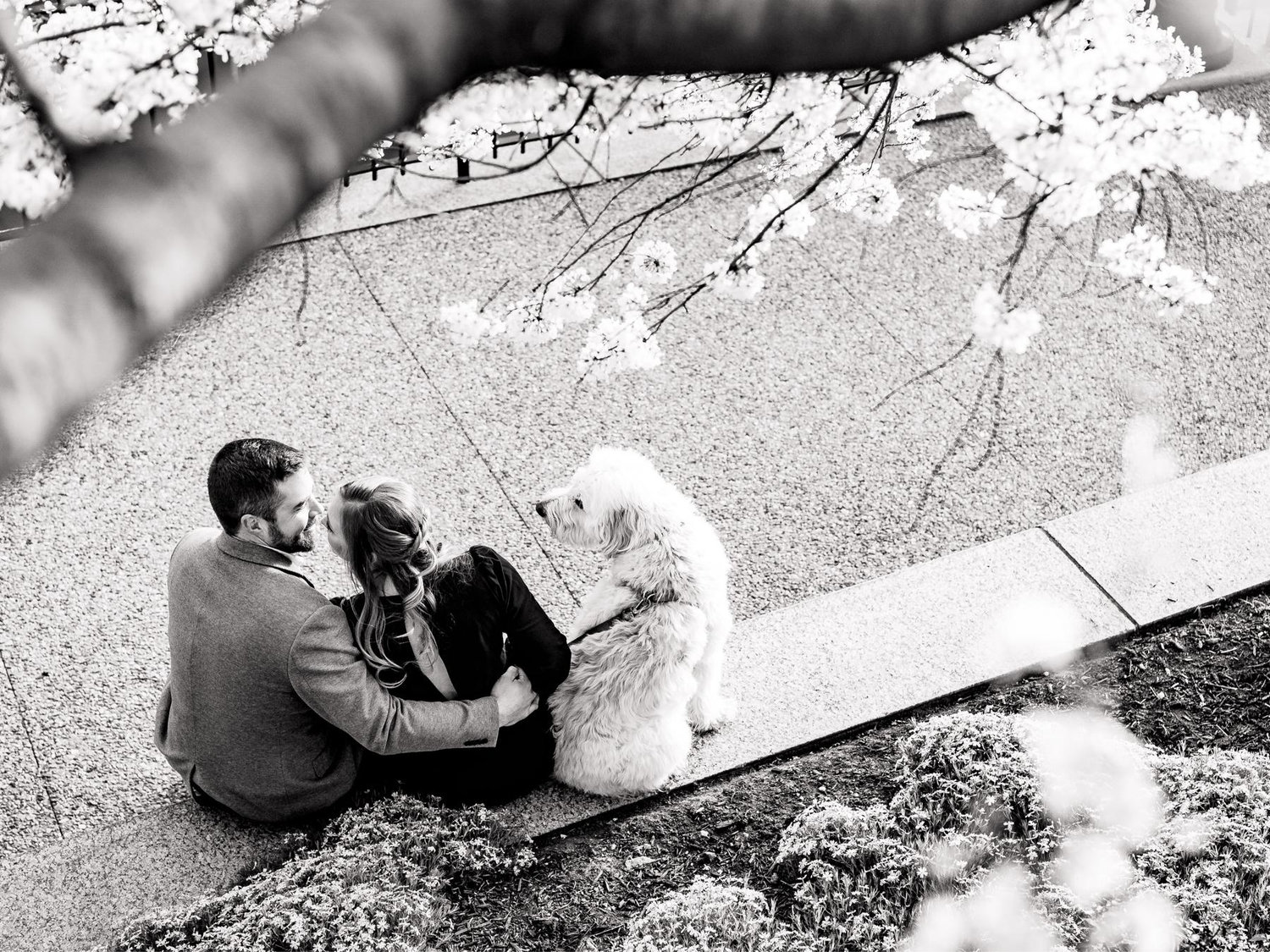 The Wedding Website of Rachel Harrison and Dustin Moneymaker