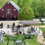 Zorvino Vineyard