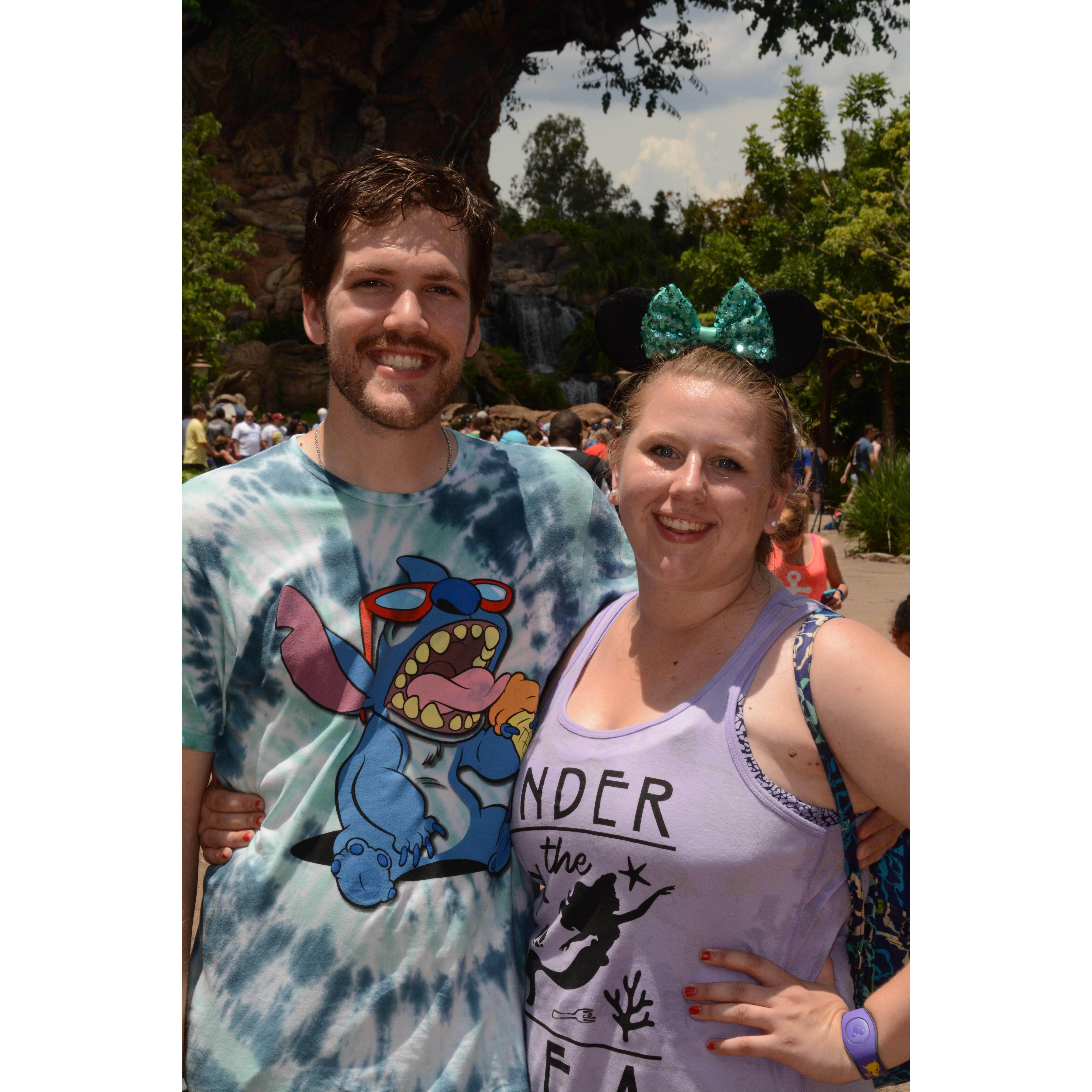 Animal Kingdom in 2017