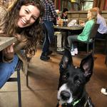 Lazy Dog Restaurant & Bar