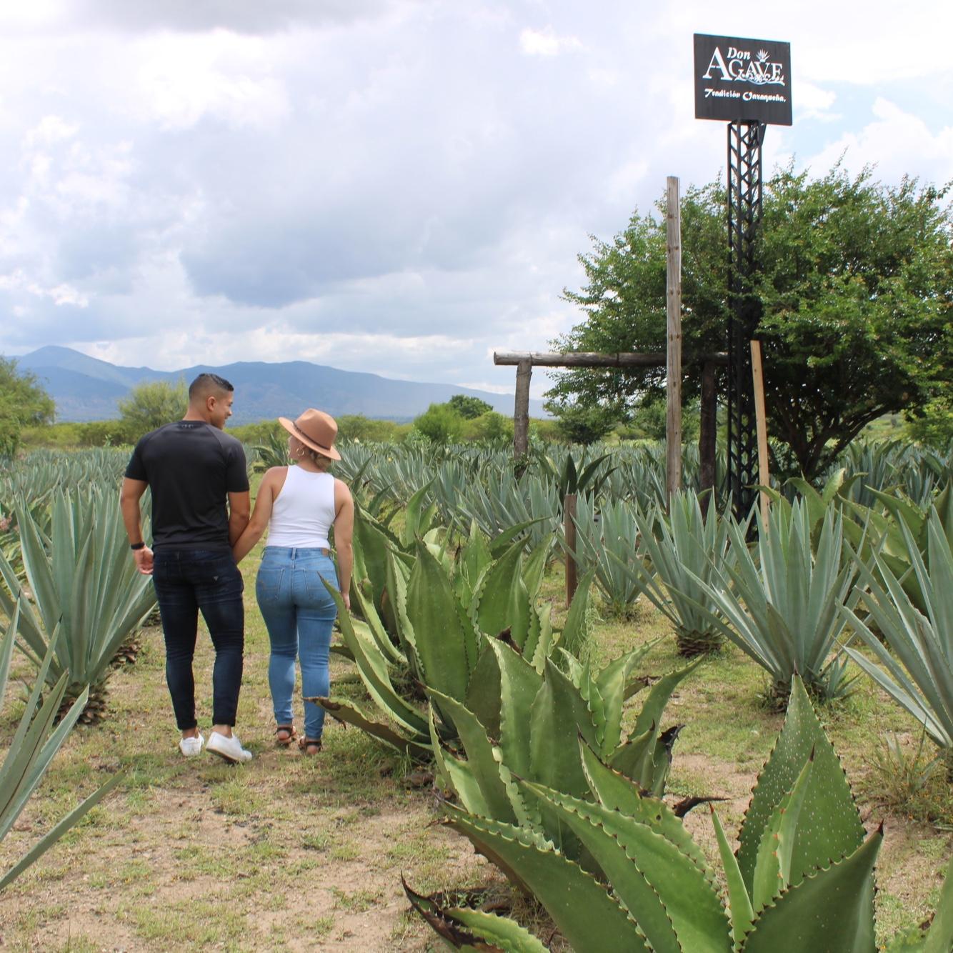 Oaxaca, Mexico