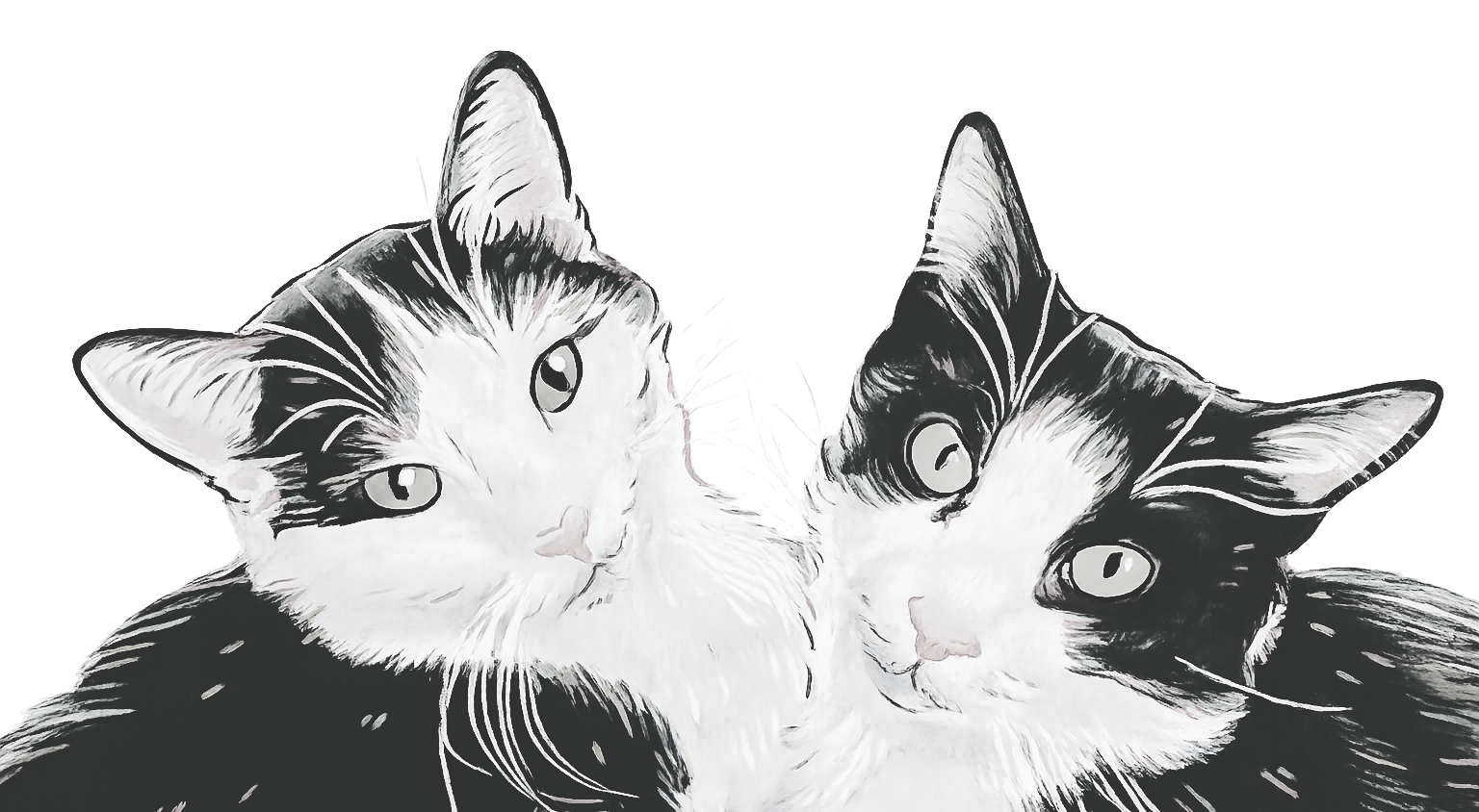 The Wedding Website of Liz Buono and Matt Fichter