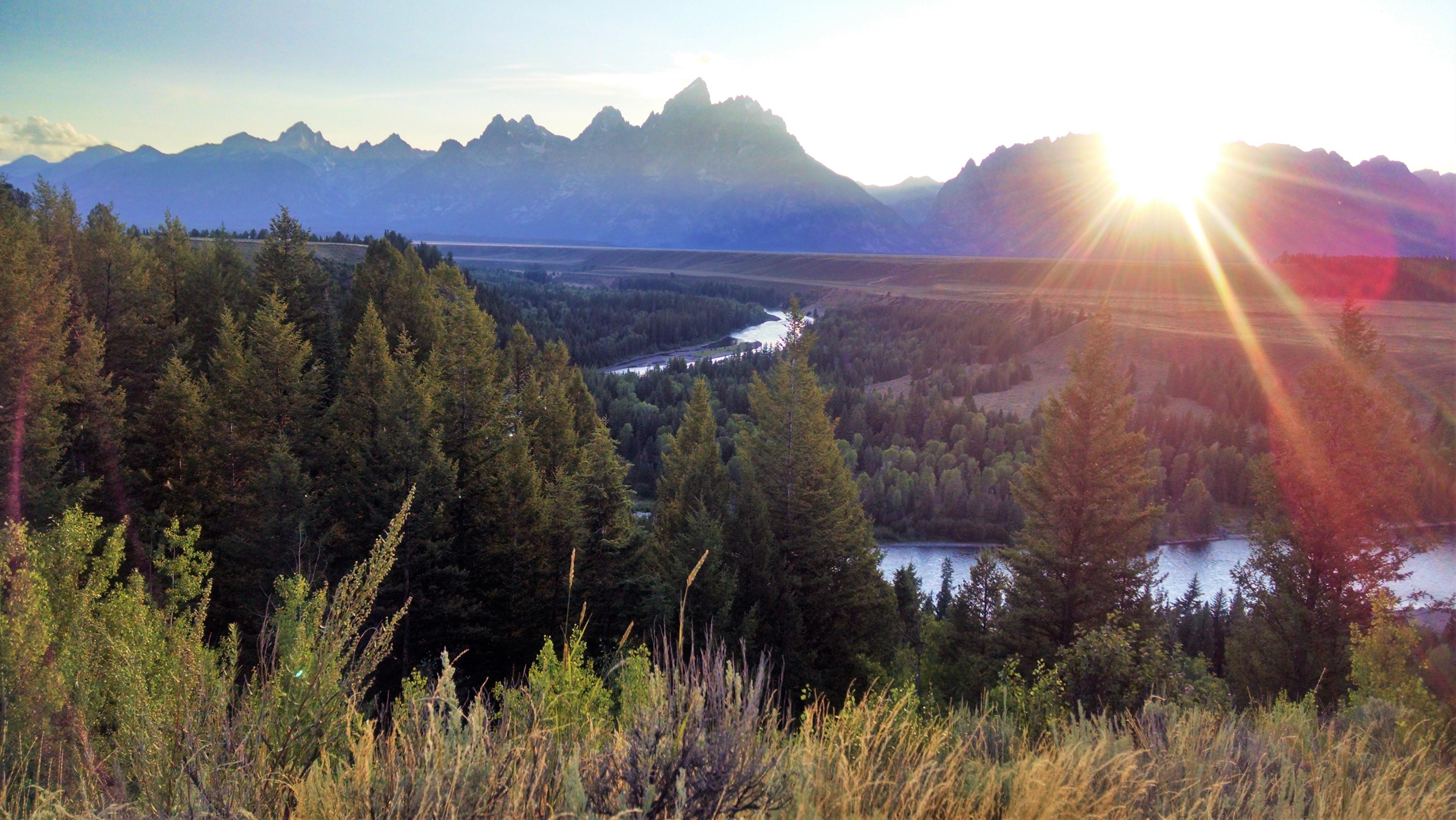 256817d3-8b20-4b33-aa94-280a481cdd13