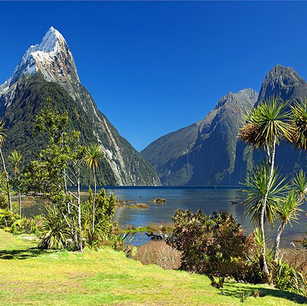Our New Zealand Honeymoon Fund