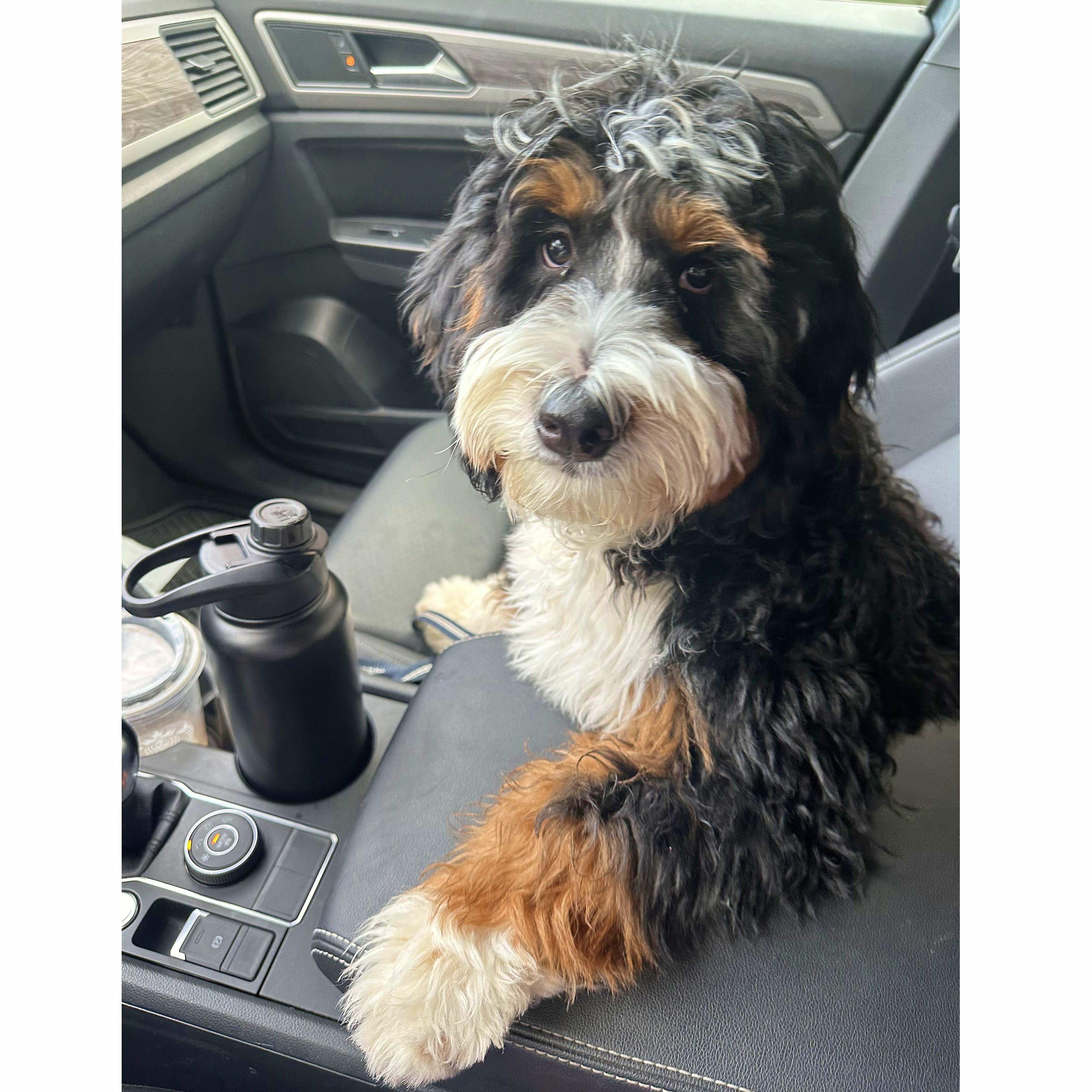 Passenger Princess