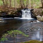 Pulpit Rock Conservation Area