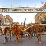 The Stockyards