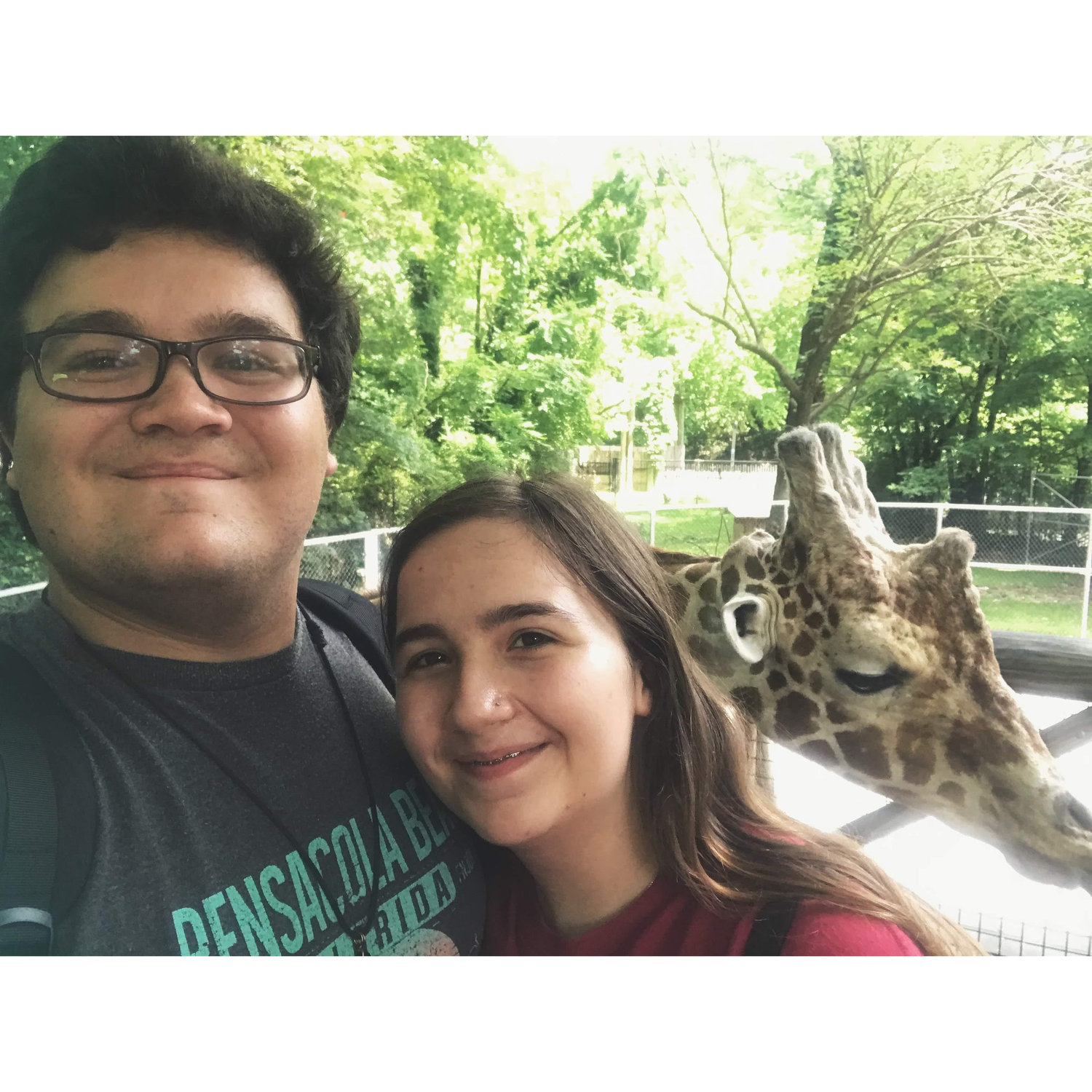 Memphis zoo. June 21, 2019