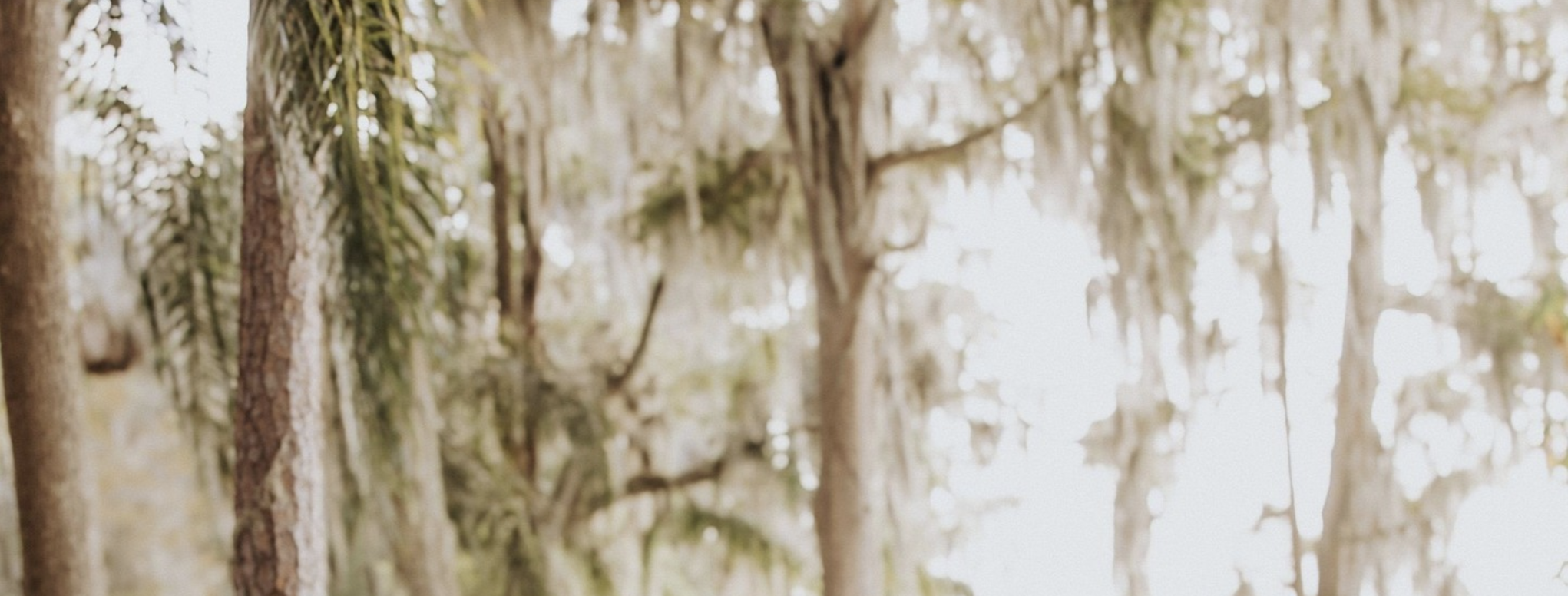The Wedding Website of Anna Katherine Sims and Ryan Harrison