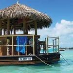 Scenic Dolphin Cruise and Tour of Pensacola Bay