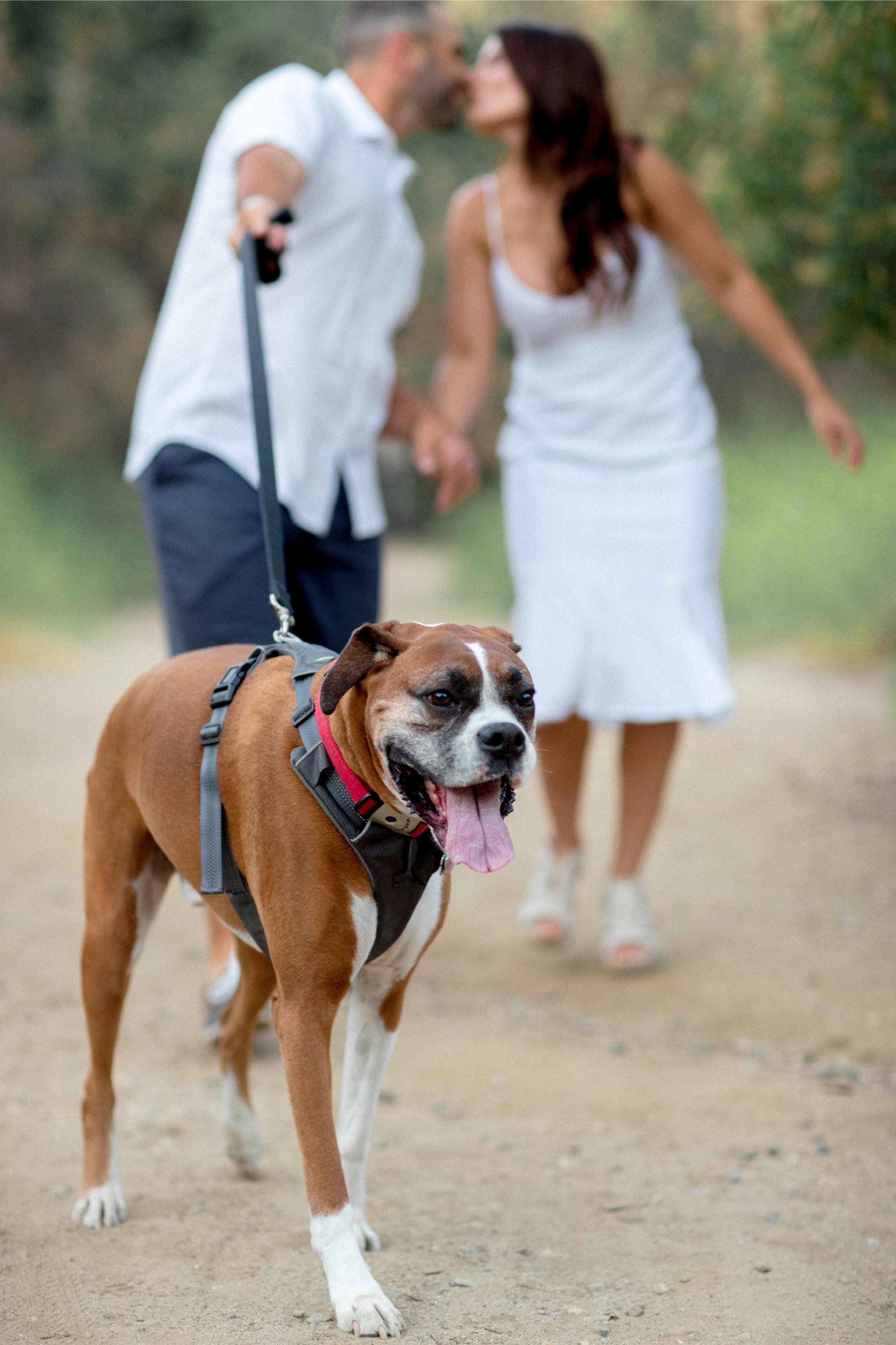 256c3c24-db6a-4f24-b3e2-e3fe52907c87