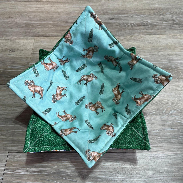 Colorado Ram Soup Bowl Cozy