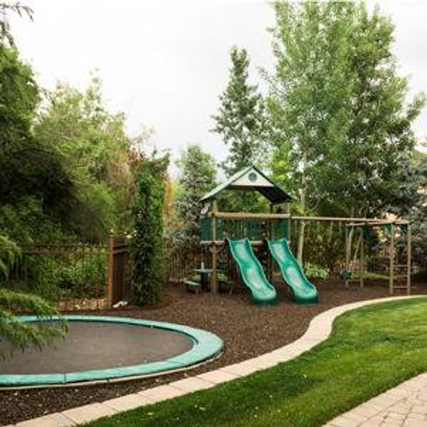 Backyard Renovation