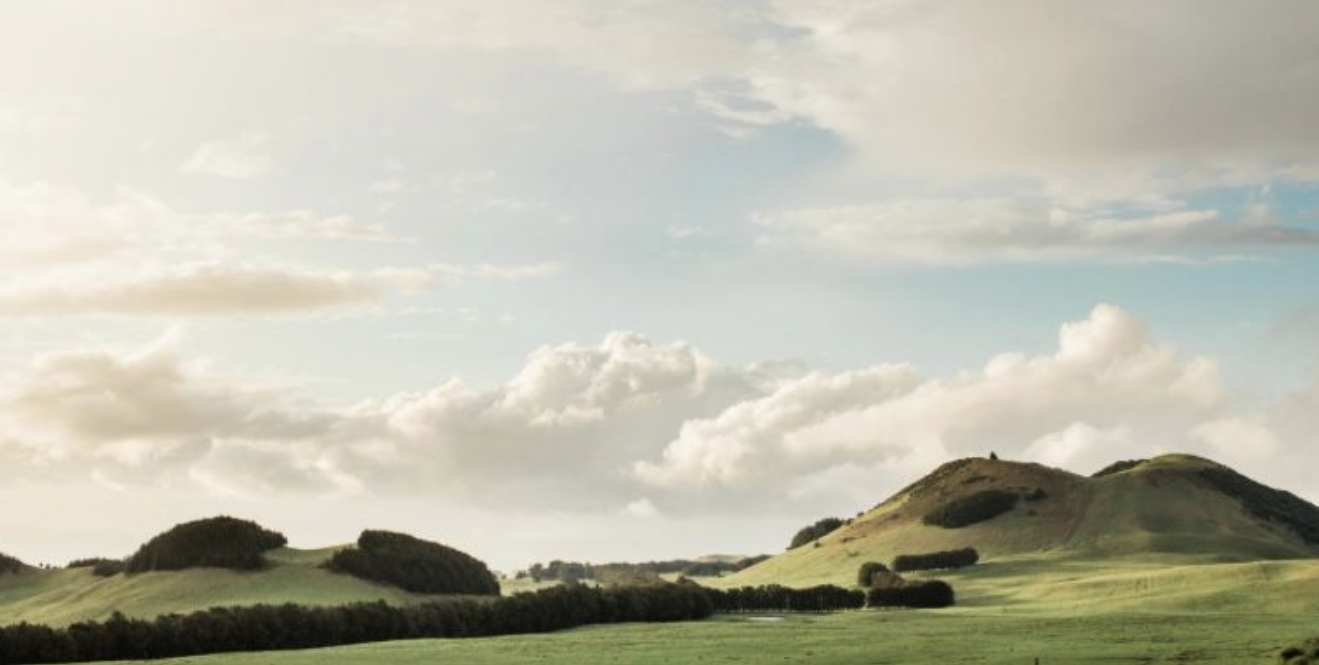 The Wedding Website of Jacey Coetzee and Matthew Wells