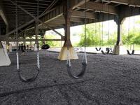 Swing Park