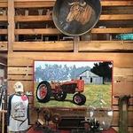 Humble Donkey Studio