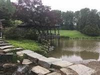 Brookside Gardens Conservatory