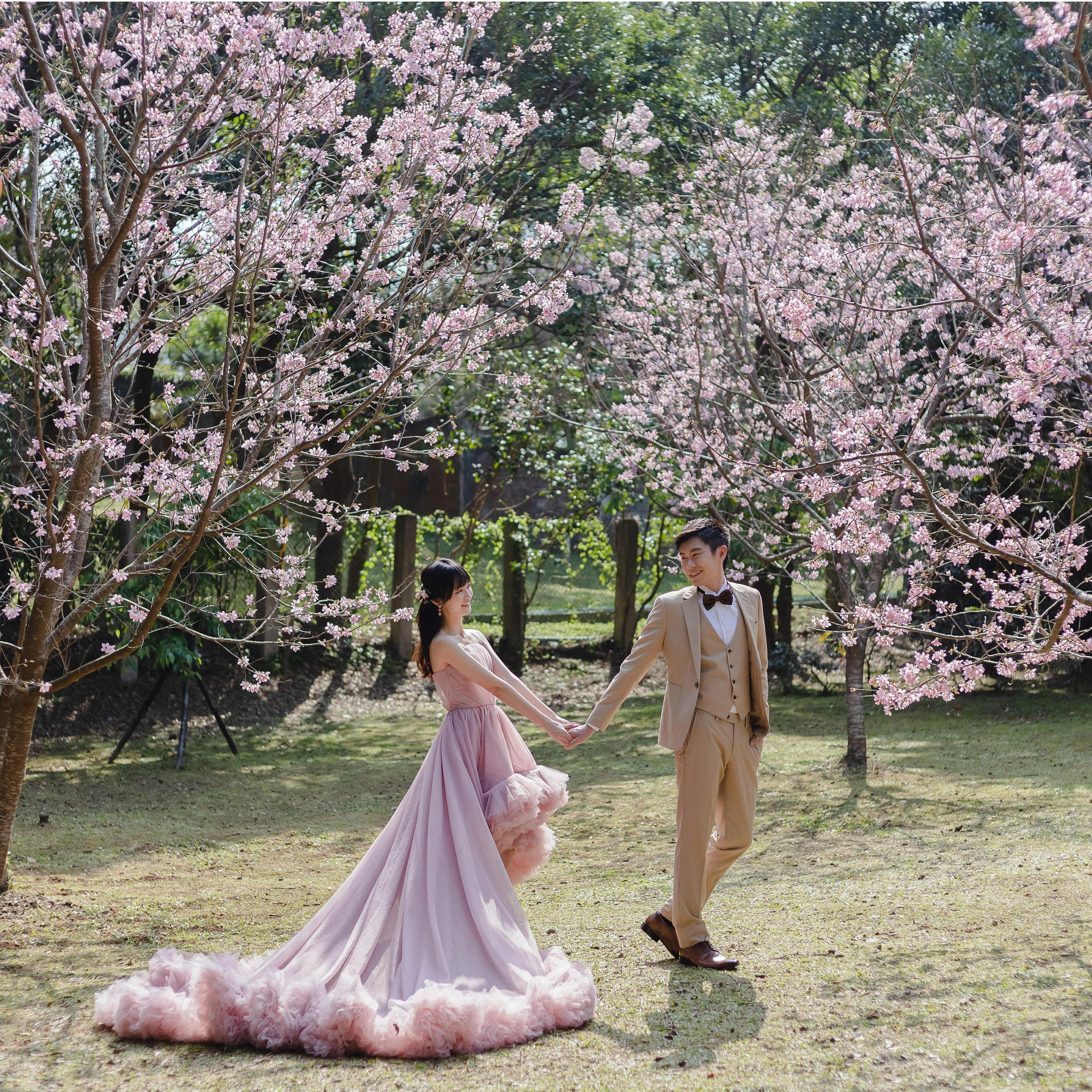 Taiwan Cherry Blossom