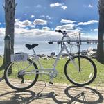 Bike Rentals
