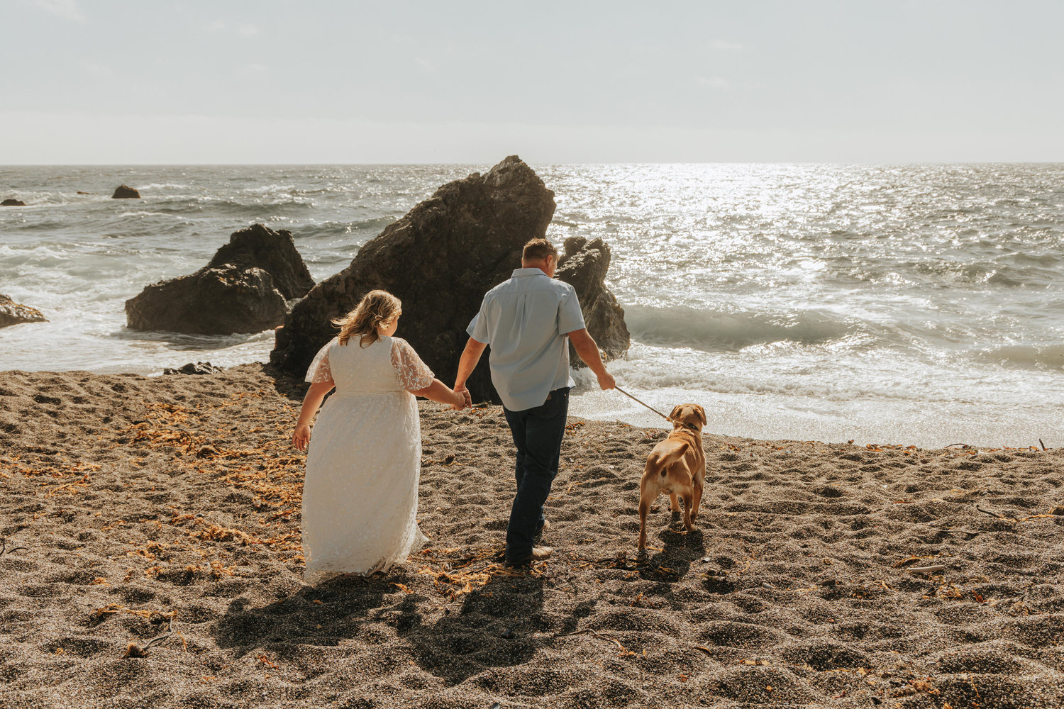 The Wedding Website of Cheyanne Bastedo and Alex van Ommeren-Egberts