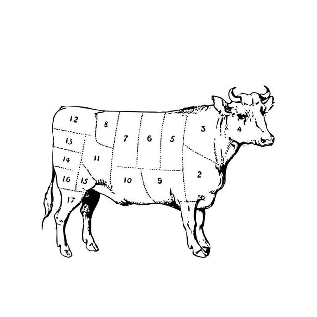 We want to buy a 1/2 cow (and a freezer for it)