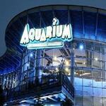 Downtown Aquarium
