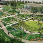 The Dallas Arboretum and Botanical Garden