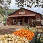 Avila Valley Barn