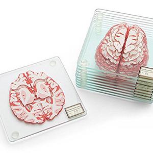 Think Geek - Brain Specimen Coasters